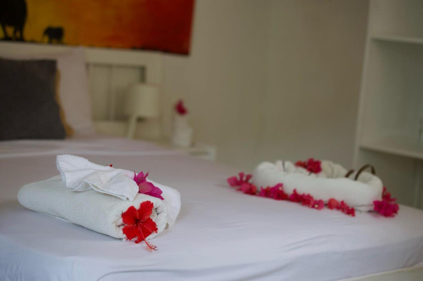 Afreeka Beach Hotel Las Terrenas Eksteriør bilde